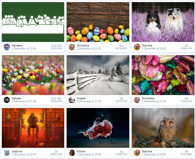 Download the Best HD Wallpapers in Bulk for Free