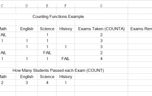 Count Function